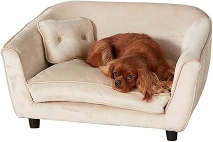 Amazon Com Enchanted Home Pet Astro Bed With Pillow 32 By 21 5