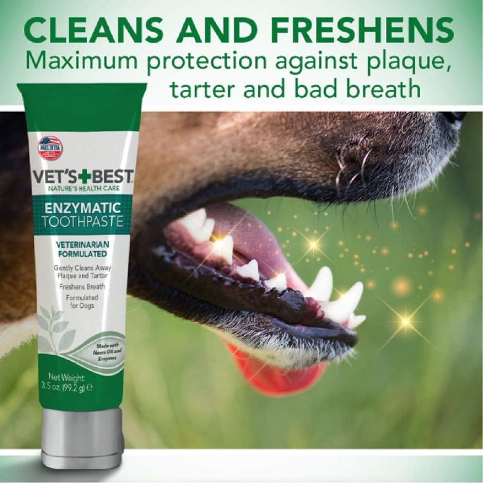 vet toothpaste