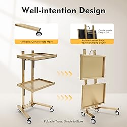 2 Tier Metal Rolling Cart, Stainless Steel Salon