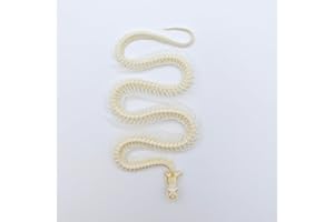 ZONYANSO Natural Animal Skull Real Bone Specimen Taxidermy Fox Skull Raccoon Dog Skull Cat Skull Mink Skull Turtle Skull Science Education Special Gift (Snake Skeleton)