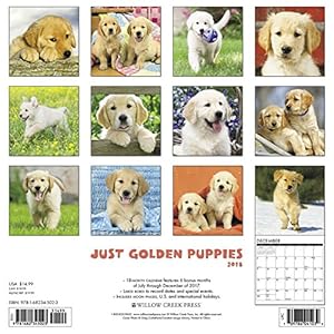 Just Golden Puppies 2018 Calendar