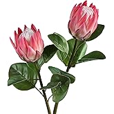 Evlasumflow 2pcs Artificial King Protea Flowers 25" Fake Tropical Pink Protea Cynaroides for Vase Bouquets Floral Arrangement Home Office Wedding Decoration.(Pink)