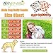 Wegreeco Washable Male Dog Belly Band (Stylish Pattern)- Pack of 3 - Washable Male Dog Belly Wrap, Dog Diapers Male (S, Magic)