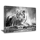 Yxbhhym Animal Black and White Tiger Canvas Wall