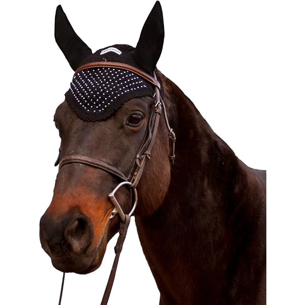Amazon Com Equine Couture Fly Bonnet Pony Color Black Size Cob Pet Supplies Amazon Com Equine Couture Fly Bonnet Pony Color Black Size Cob Pet Supplies