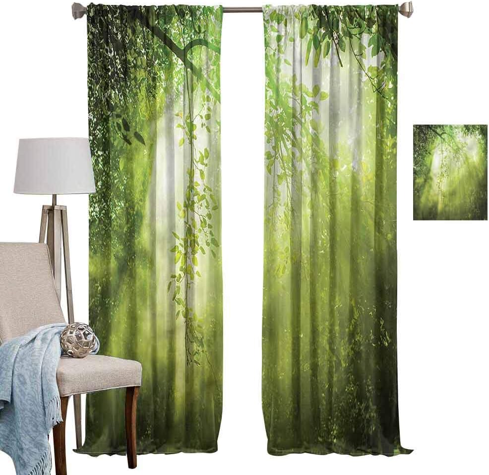 DRAGON VINES Insulated Solid Grommet topWindproof Curtain Forest W96 x L107,Sunbeams in Woodland Home Bedroom Wall DecorationsSet of 2 Panels