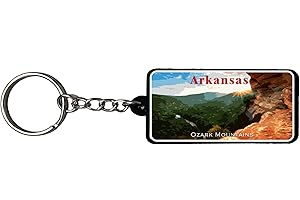 AMERICANPHOENIX Beautiful & Unique Keychains - USA Souvenir, Collectible Design,Flexible Silicone, Keyring Lanyard Accessory