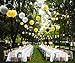 KAXIXI Hanging Party Decorations Set, 15pcs Yellow Gray White Paper Flowers Pom Poms Balls and Paper Lanterns for Wedding Birthday Bridal Sunshine Baby Shower Graduation