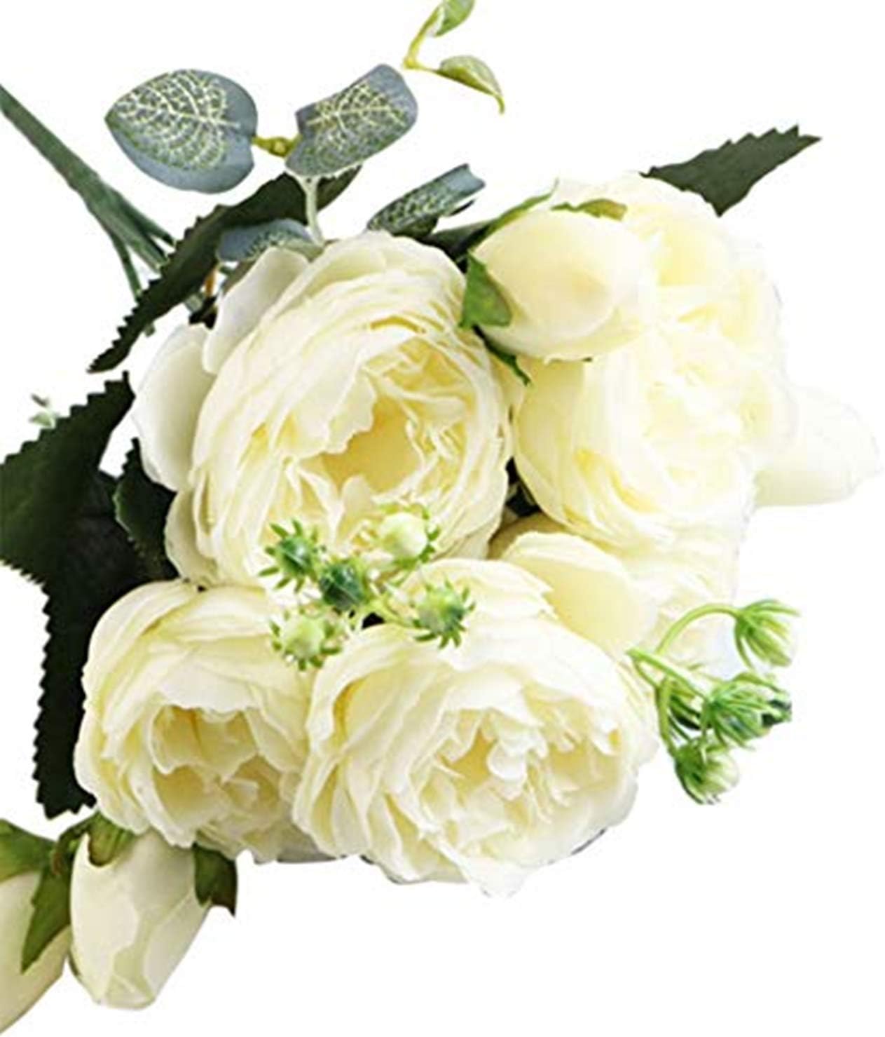 Which Is The Best Agility Ladder H