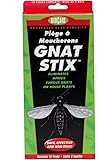 Springstar BioCare Gnat Stix - 12 Pack
