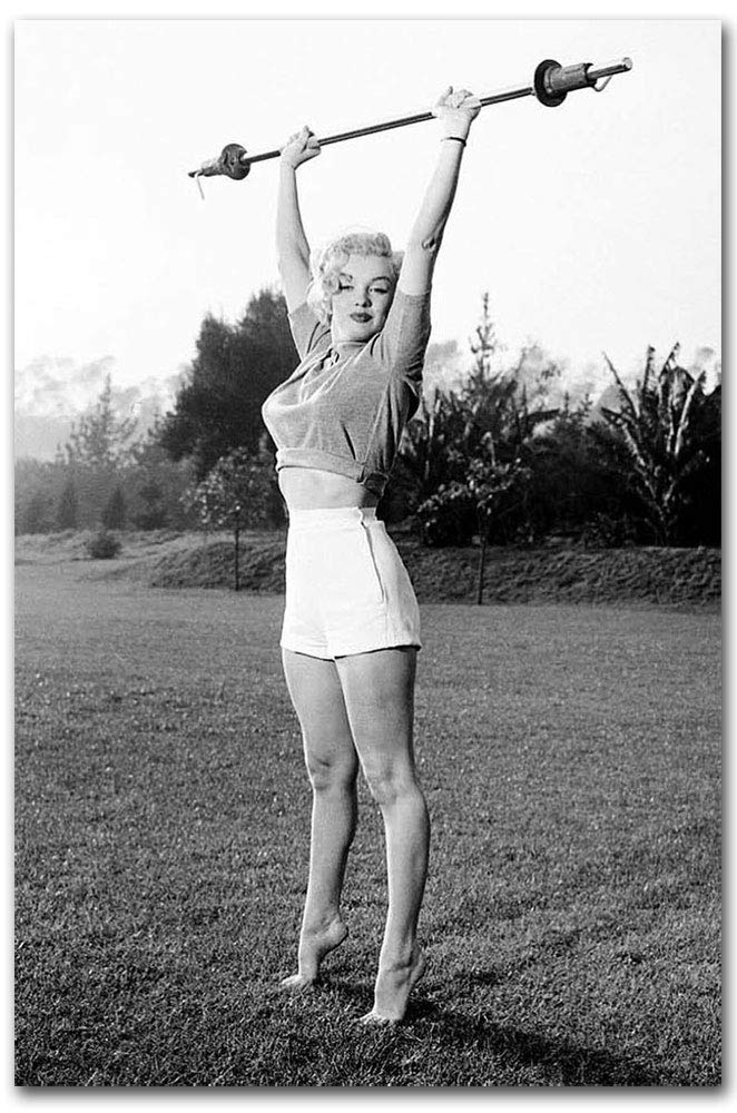 Best Small Refrigerator Lift