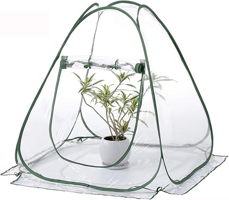 Techson Mini Pop Up Greenhouse With Clear Cover Protected Plant