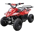 TAO TAO 110cc ATV Fully Automatic Four Wheelers ATV Quads for Kids Burgundy