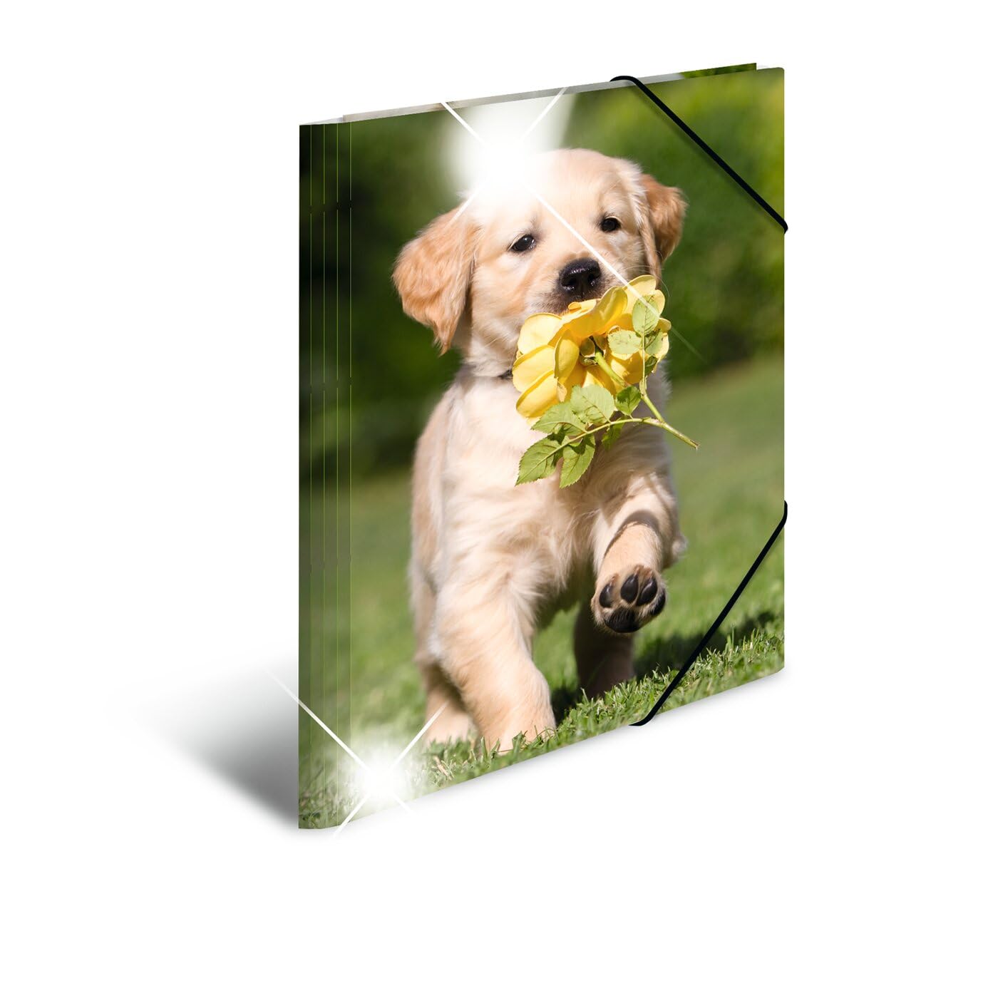 HERMA Elastic Folder Animals with Dogs Motif, A3, Glossy Plastic, with Inner Print, 1 Span Folder