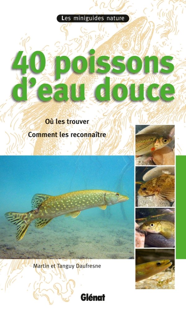 40 Poissons D Eau Douce Les Miniguides Nature French Edition Daufresne Tanguy Daufresne Martin Amazon Com Books