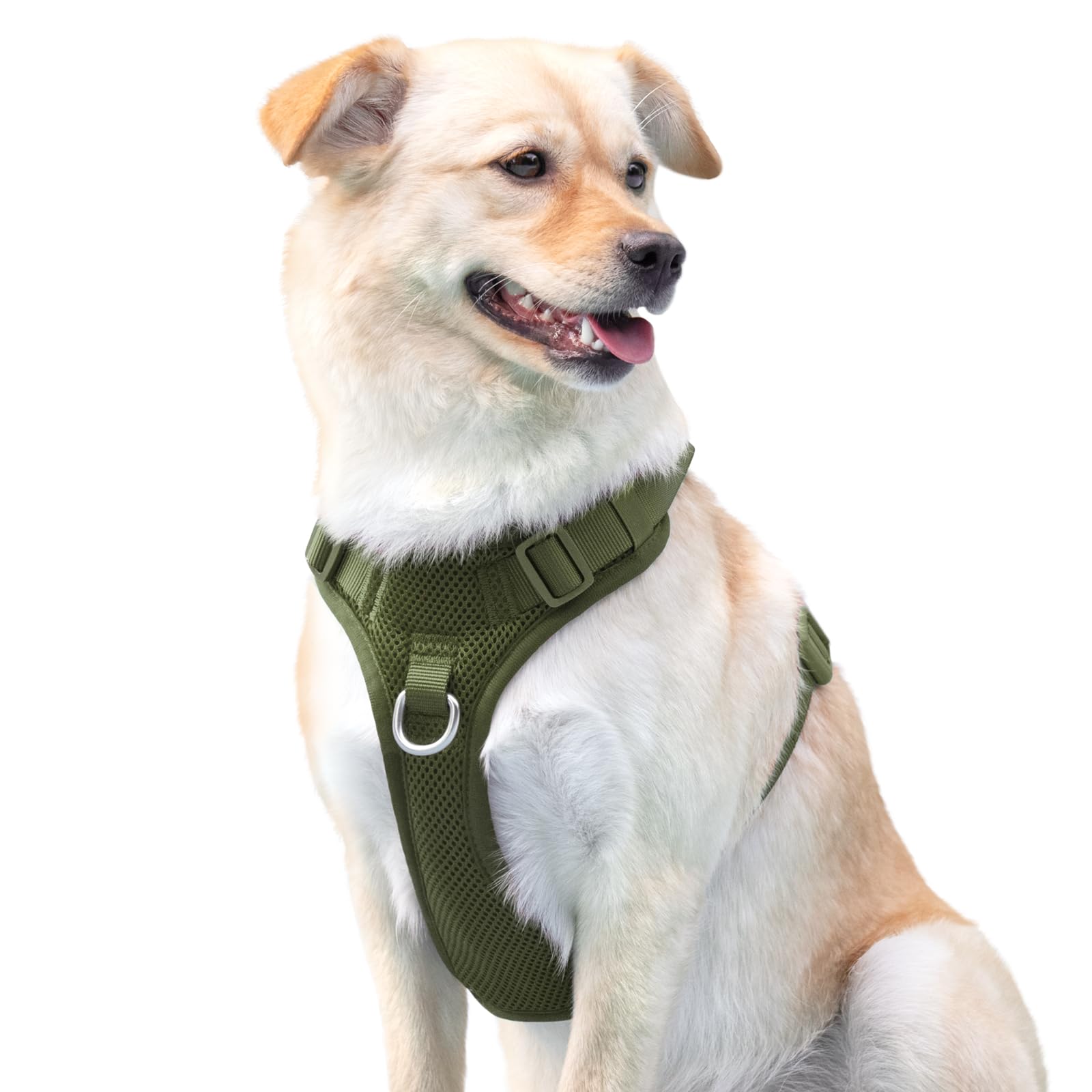 Photo 1 of No Pull Dog Harness for Small Medium Large Dogs - Adjustable Two-Layer Mesh Dog Vest with Dual Clip, Escape Proof, Quick Release, Lightweight Breathable Mesh for Walking Hiking (Misty Green,XS)