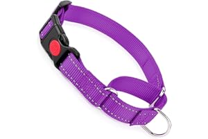 YOUALSO Dog Martingale Collar with Buckle, Reflective Dog Choke Collar Escape Proof No Pull Cinch Dog Training Collars Adjustable for XS Small Medium Large Breed Pet Dogs, Purple S