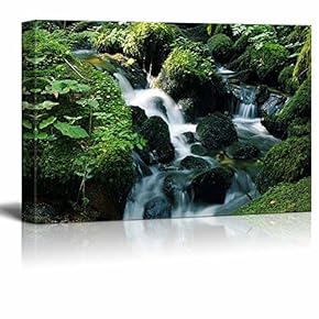 Canvas Prints Wall Art - Beautiful Landscape/Scenery Flowing River in Green Natrure | Modern Wall Decor/Home Decoration Stretched Gallery Canvas Wrap Giclee Print & Ready to Hang - 12" x 18"
