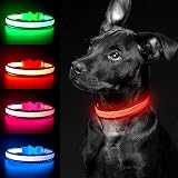YFbrite Light Up Dog Collar Rechargeable LED Red Large