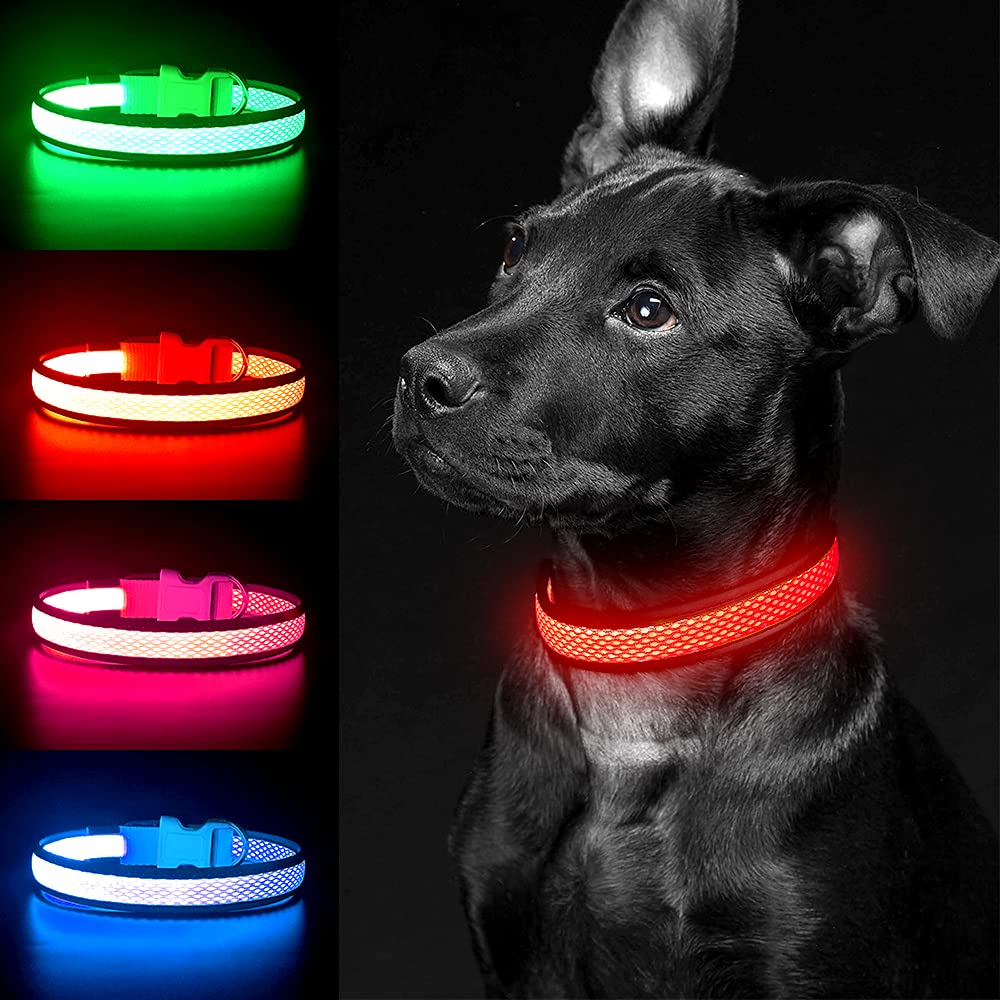 YFbrite Light up Dog Collar, Rechargeable LED Dog Collar, Flashing Dog Collar, Adjustable Reflective Dog Collar Safety Glowing at night (Red, Large)