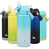 Konokyo Insulated Water Bottle with Straw Lid,18 oz Stainless Steel Vacuum Metal Bottle with Silicone Handle,Sea Salt
