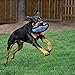 KONG Ballistic Football Dog Toy, Large, Assorted