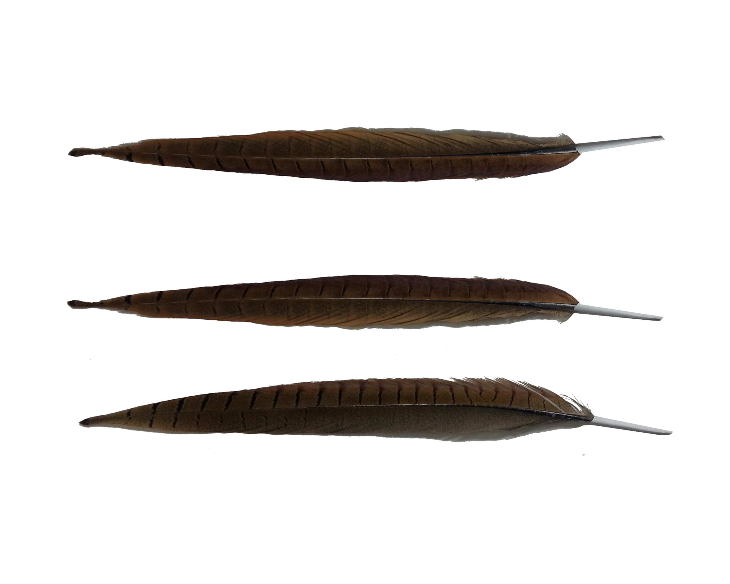 The Arch Nemesis Feather Toy 3 pack by Cat FurNature