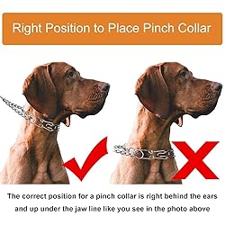 CBBPET Dog Prong Collar, Adjustable Dog Training