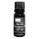 Freshskin Beauty 10ml Eucalyptus Pure Essential Oil