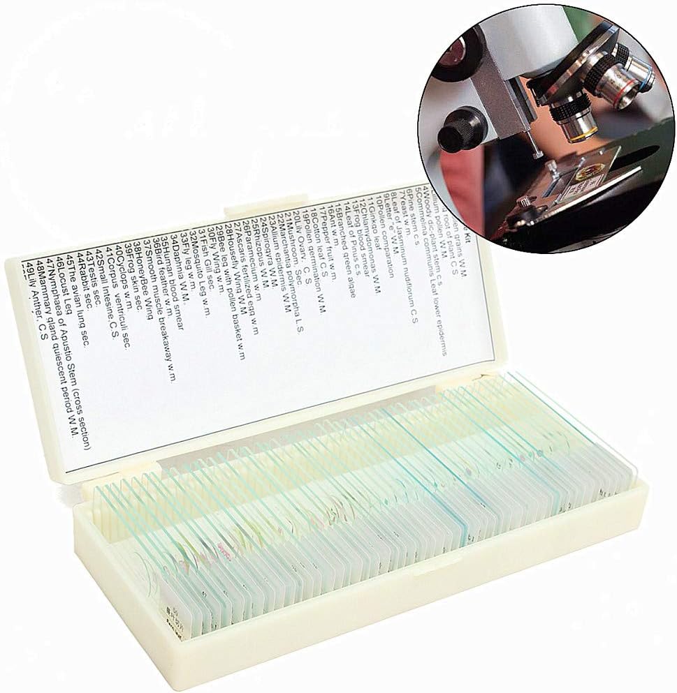 Tutoy 50pcs Glass Prepared Basic Plant Microscope Slides Sample Biology Pathology