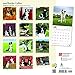 Border Collies 2018 Calendar