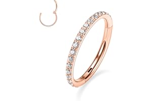 GAGABODY 20G 18G 16G 14G 6mm-12mm 316L Surgical Steel Piercing Jewelry Hinged Seamless Earrings Clicker Hoop Piercing Rings for Cartilage Helix Rook Septum Daith Tragus Lobe CZ/Opal/Shell/Turquoise