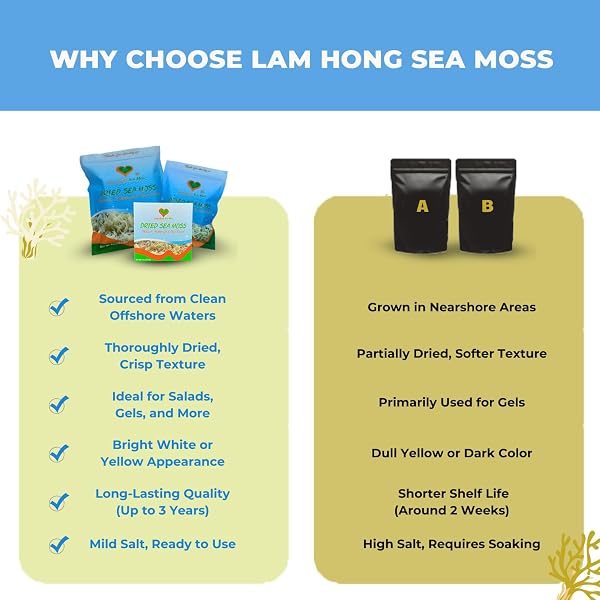 LAM HONG SEA MOSS DRIED 4OZ – MAKE OWN SEA MOSS GEL ORGANIC RAW, ADD TO SALAD, SUN-DRIED, WILD HARVESTED FOR HIGH EXPANSION & NATURAL FLAVOR, IODINE & MINERALS, SUPPORTS WELLNESS, VIETNAMESE SEA MOSS.