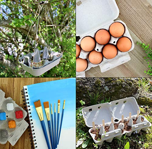 4 Dozen+Cartons+30+Pack+Split+Apart