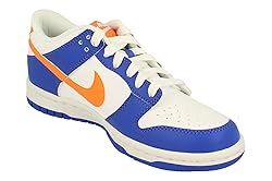 Nike Boy's Dunk Low (Big Kid) Blue Joy/Bright