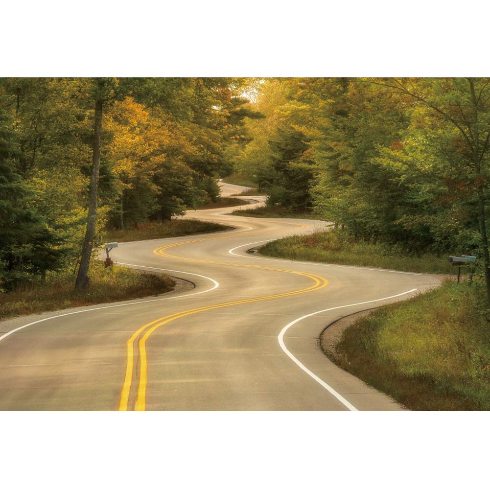 Buy Dashan 14x10ft Winding Road Backdrop Roadside Fall Forest Trees Photography Background Bride Birthday Party Anniversary Party Decor Outdoor Travel Photo Portrait Studio Props Online At Low Price In India Dashan amazon in