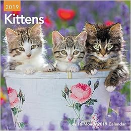 Kittens Mini Wall Calendar (2019)