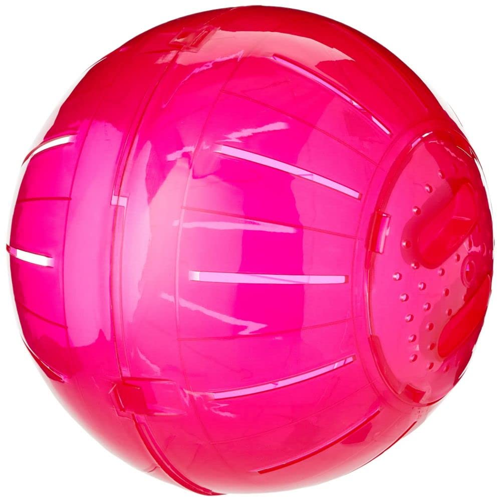 Walter Harrison's Small Animal Plastic Running Exercise Ball For Degus and Rats - Large - 25 cm