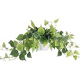 Tiita 1 Pack Fake Plants Artificial Scindapsus Aureus in Pots, Realistic Fake Greenery Potted Plants for Home Office Desk Window Sill Bathroom Bedroom Outdoor Indoor