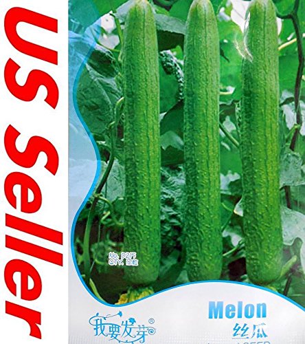 Portal Cool Paquete de se as: 6: 20Pcs cult r un huerto casero ...