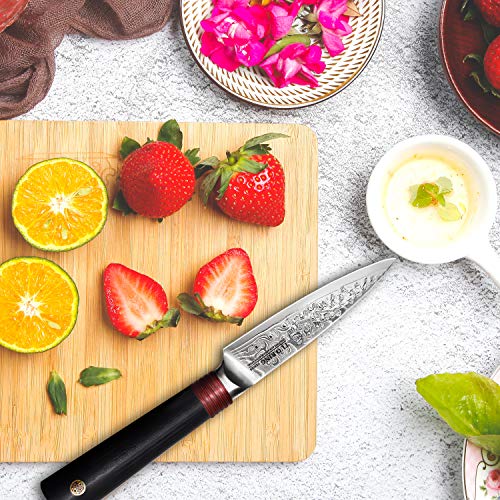 TUO Damascus Paring Knife, 3.5 inch Peeling Knife, Fruit and Vegetable