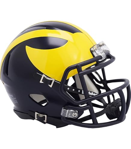 Riddell 1966-1969 Atlanta Falcons Throwback Mini Helmet : Football Helmets : Sports & Outdoors