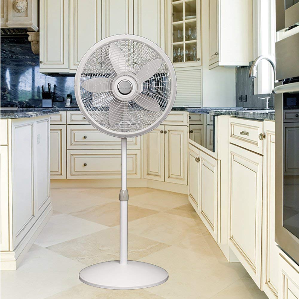 Lasko 1827 18? Elegance and Performance Adjustable Pedestal Fan for