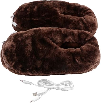electric slippers