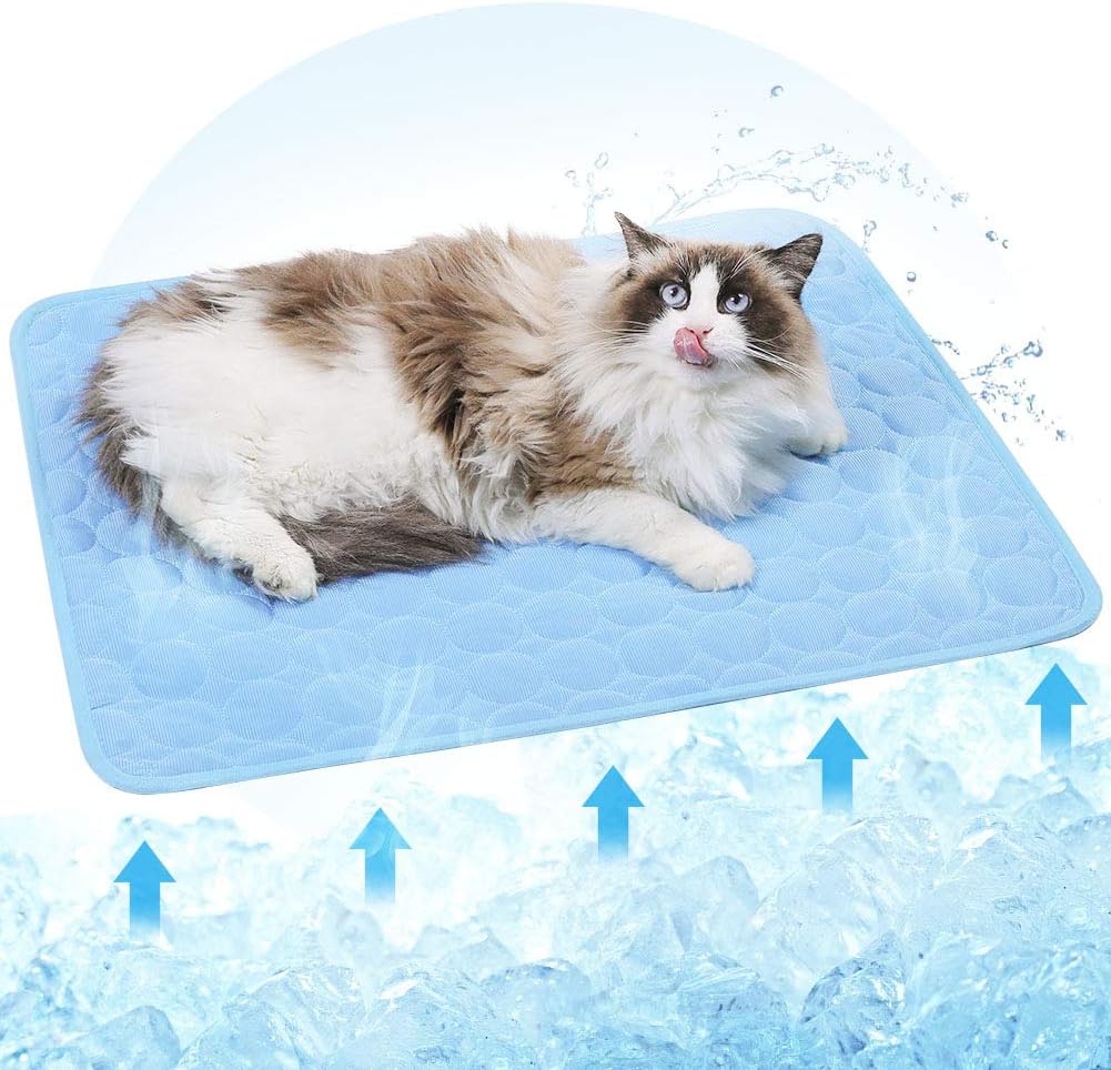pressure activated heating pad for cats