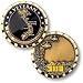 Vietnam Veteran Engravable Challenge Coin