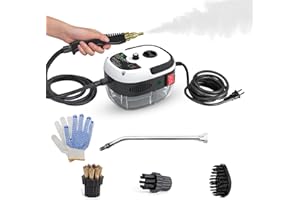 Ailgely Steam Cleaner,2500W High Temperature Pressurized Steam Cleaner,Portable Steam Cleaning Machine,10S Fast Heating,with 3 Brush Heads