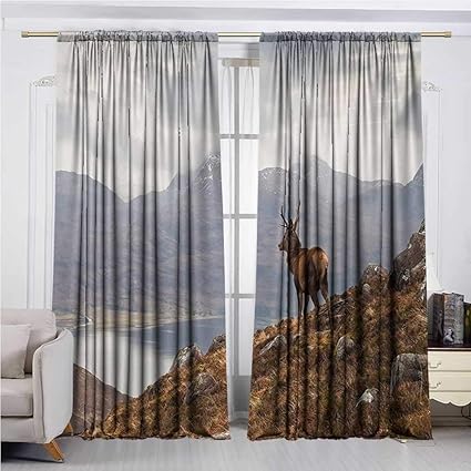 Amazon Com Despkon Home 3d Pattern Print Curtain Home Decoration