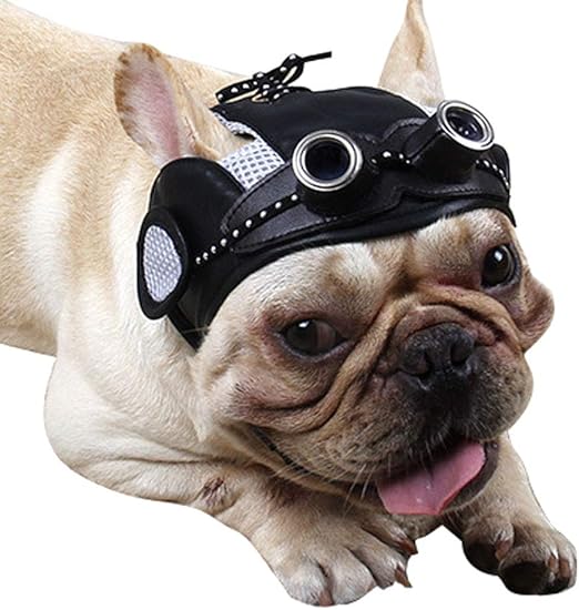 dog pilot hat