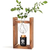 ChoiHeiy Plant Urn with Glass Bulb & Restro Solid Wooden Stand, Small Urns for Human Ashes Keepsake, Memorial Keepsake Urn for Human Ashes, Mini Urns for Human Ashes Keepsake, Small Urn for Ashes